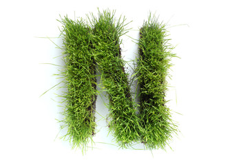 Letters made of grass - N