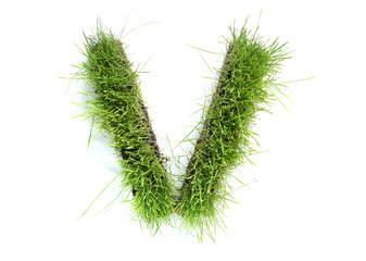 Letters made of grass - V