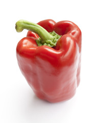 Paprika