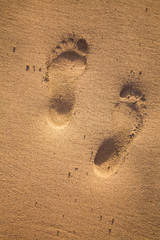 Fototapeta na wymiar pieds dans le sable