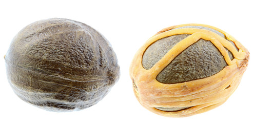 noix muscade fond blanc