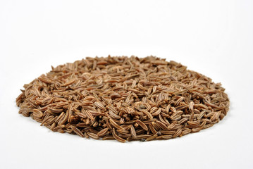 some organic caraway seed and a bright background
