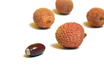 Brown litchi seed