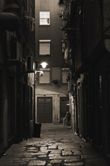 Alley