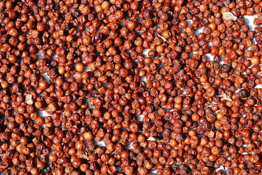 Jujubes s&eacute;chant au soleil