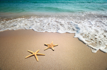 two starfish on a beach - Powered by Adobe