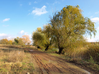 A dirt road winds through the Autumn colors