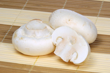 Champignon 02