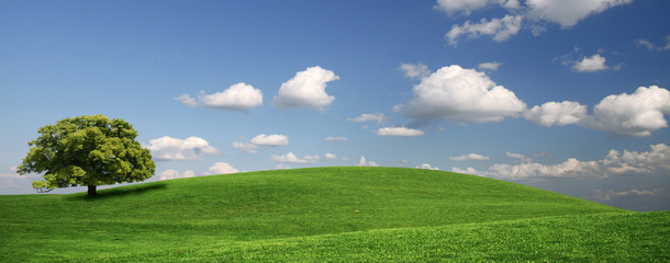 Green hills