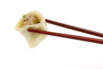 Asian Dumpling