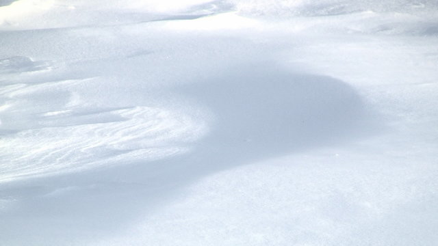 Snowdrift Sculpted by Wind Driven Ice Crystals