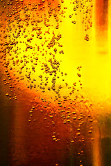 Fototapety  Szklanka piwa z bąbelkami