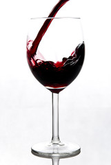 wineglass isolated on white background
