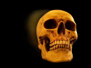 Menschlicher Schädel mit Spiegelung