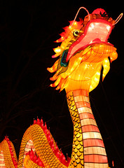 Traditional Light Festival in China - 19815914