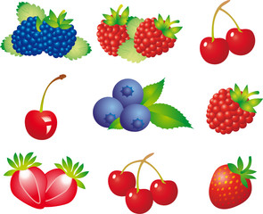 Berry vector