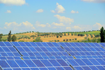 Solaranlage auf Feld - solar plant on field 01