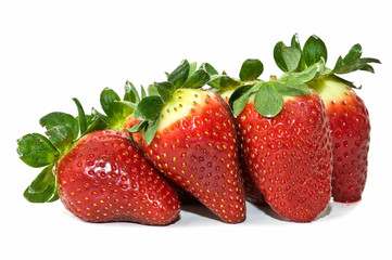 Fresas caseras