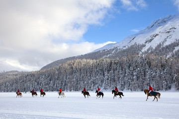 cavalli al galoppo sulla neve