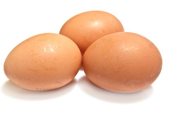 Eggs