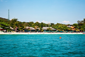 beautiful clean sandy  beach from seaside
