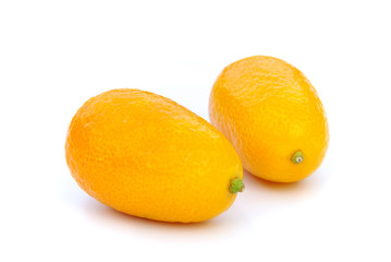 Kumquat 01