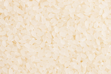 白米（コシヒカリ）