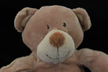 Ourson - fond noir