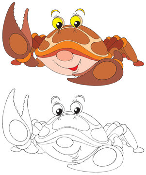 Crab (black-and-white and color illustrations)