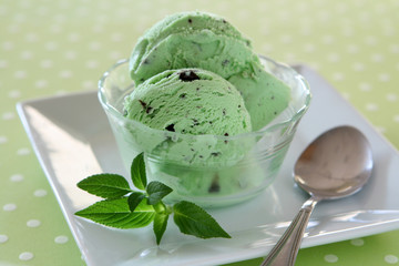 Mint Chocolate Chip Ice Cream