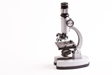 Under the microscope