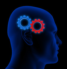 head with gear wheels