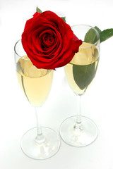 Copas de champagne y rosa roja