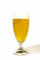 glass of beer on white background