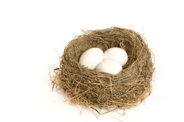Three eggs in a nest