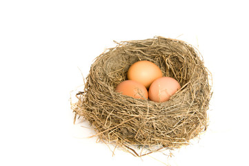 Three eggs in a nest