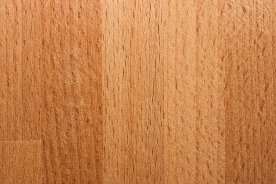 Holz