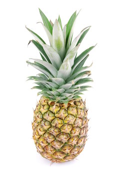 Ripe pineapple fruit