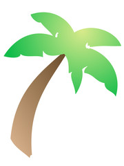 Palm tree illustration