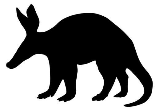 Erdferkel