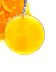 fresh orange juice preparation, on white background