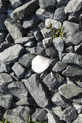 Fototapeta na wymiar Pile of Rocks