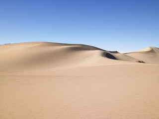 Wind Swept Sand Dunes © Morgan