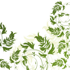 Obraz na płótnie Canvas Green floral pattern on white background