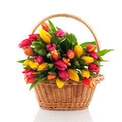 Fototapeta na wymiar Basket tulips