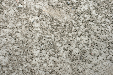 Soil