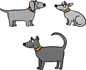 grey dogs