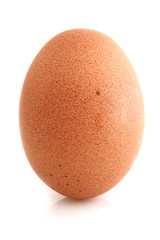 Oeuf sur fond blanc