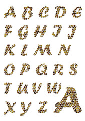 Amber font