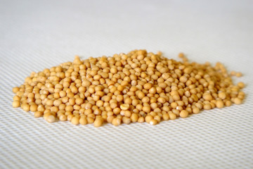 graines de moutarde